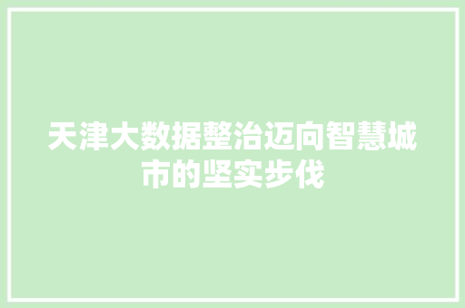 天津大数据整治迈向智慧城市的坚实步伐  第1张