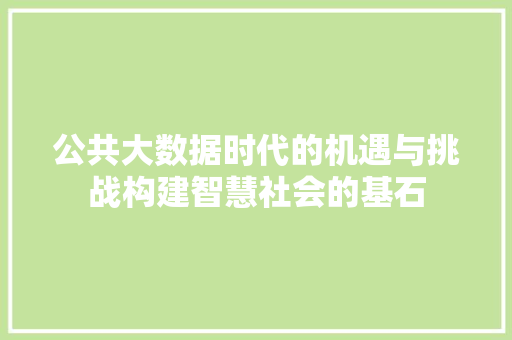 公共大数据时代的机遇与挑战构建智慧社会的基石  第1张