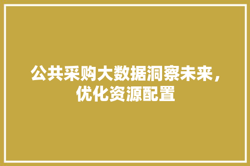公共采购大数据洞察未来，优化资源配置