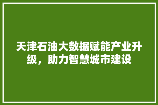 天津石油大数据赋能产业升级，助力智慧城市建设  第1张