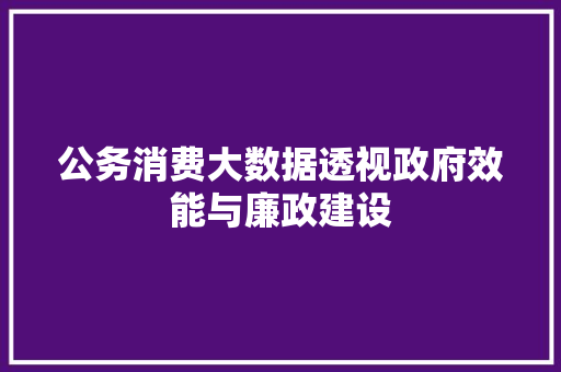公务消费大数据透视政府效能与廉政建设  第1张