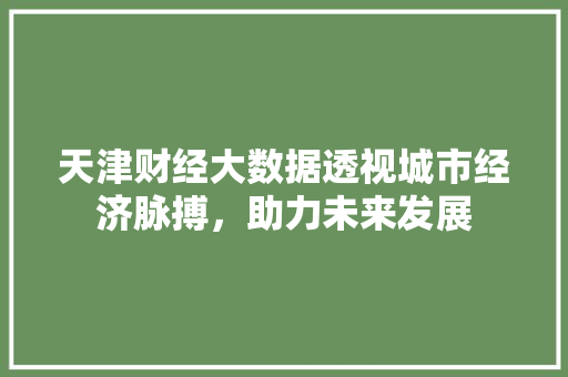 天津财经大数据透视城市经济脉搏，助力未来发展  第1张