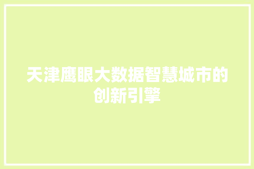 天津鹰眼大数据智慧城市的创新引擎