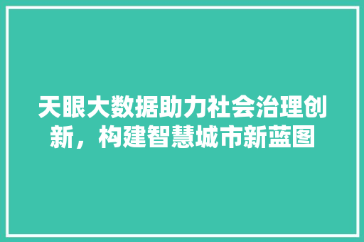 天眼大数据助力社会治理创新，构建智慧城市新蓝图  第1张