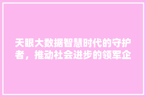 天眼大数据智慧时代的守护者，推动社会进步的领军企业  第1张
