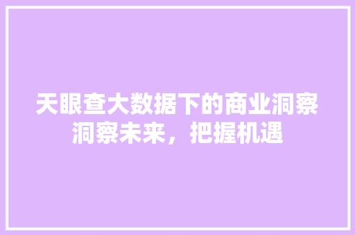 天眼查大数据下的商业洞察洞察未来，把握机遇
