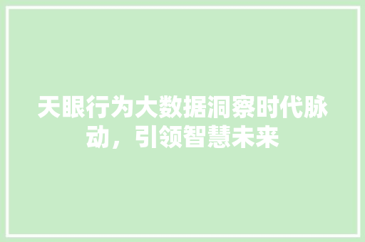 天眼行为大数据洞察时代脉动，引领智慧未来  第1张