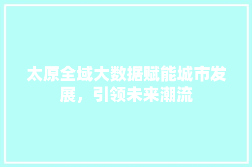 太原全域大数据赋能城市发展，引领未来潮流  第1张