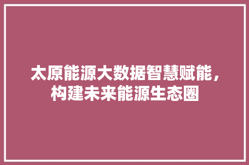 太原能源大数据智慧赋能，构建未来能源生态圈