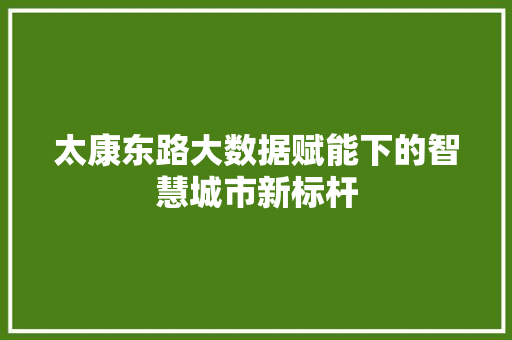 太康东路大数据赋能下的智慧城市新标杆  第1张