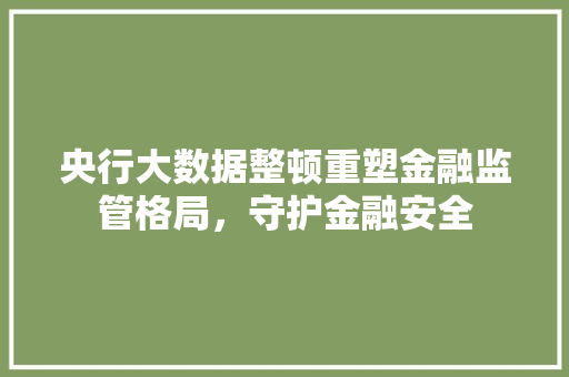 央行大数据整顿重塑金融监管格局，守护金融安全  第1张