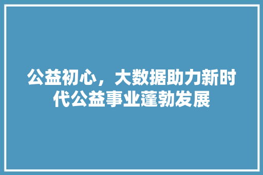 公益初心，大数据助力新时代公益事业蓬勃发展  第1张