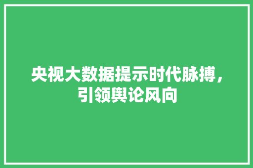 央视大数据提示时代脉搏，引领舆论风向