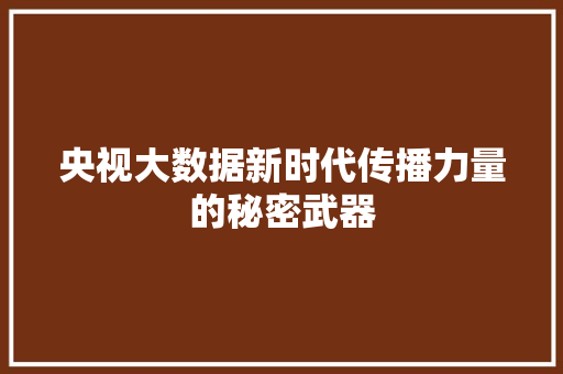 央视大数据新时代传播力量的秘密武器