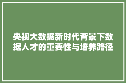 央视大数据新时代背景下数据人才的重要性与培养路径