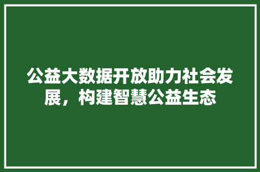 公益大数据开放助力社会发展，构建智慧公益生态  第1张
