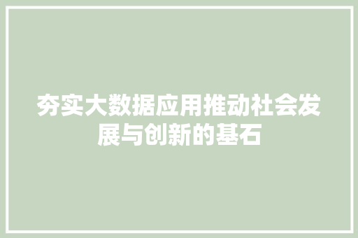夯实大数据应用推动社会发展与创新的基石  第1张