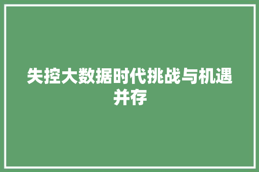 失控大数据时代挑战与机遇并存