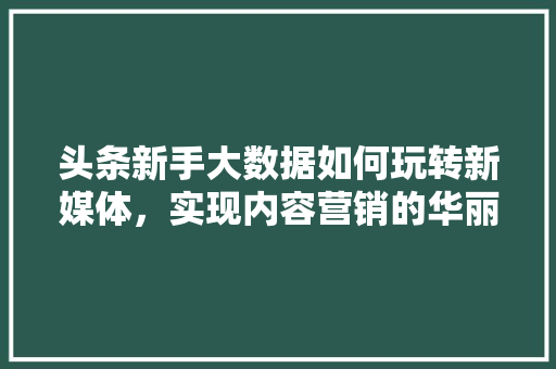 头条新手大数据如何玩转新媒体，实现内容营销的华丽转身  第1张
