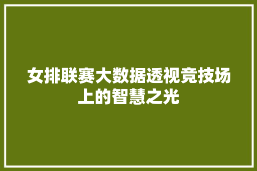 女排联赛大数据透视竞技场上的智慧之光
