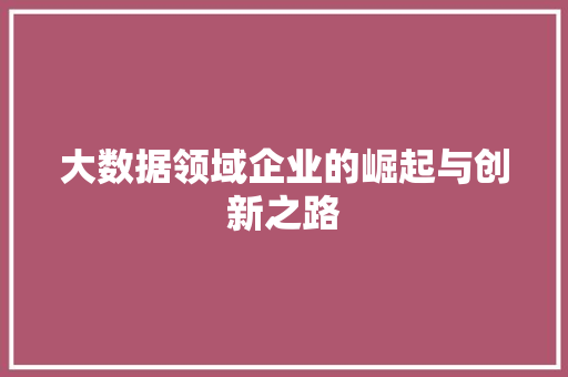 大数据领域企业的崛起与创新之路  第1张