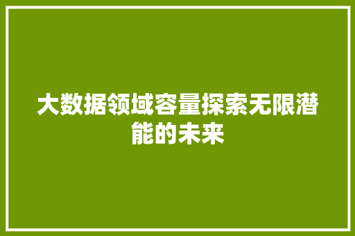 大数据领域容量探索无限潜能的未来  第1张