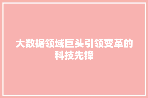 大数据领域巨头引领变革的科技先锋  第1张