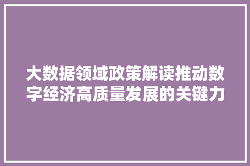 大数据领域政策解读推动数字经济高质量发展的关键力量  第1张