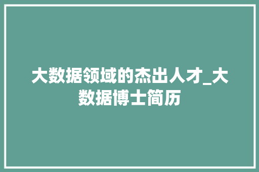 大数据领域的杰出人才_大数据博士简历