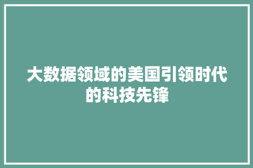 大数据领域的美国引领时代的科技先锋  第1张