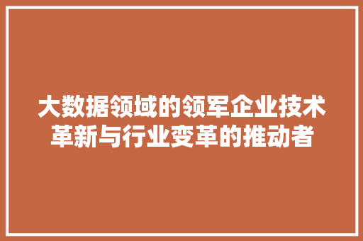 大数据领域的领军企业技术革新与行业变革的推动者  第1张