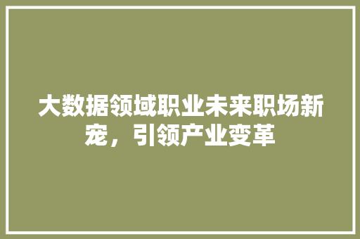 大数据领域职业未来职场新宠，引领产业变革  第1张