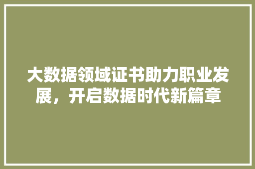 大数据领域证书助力职业发展，开启数据时代新篇章  第1张