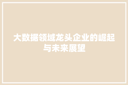 大数据领域龙头企业的崛起与未来展望  第1张