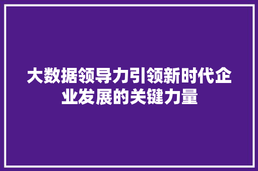大数据领导力引领新时代企业发展的关键力量  第1张