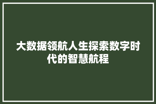 大数据领航人生探索数字时代的智慧航程  第1张