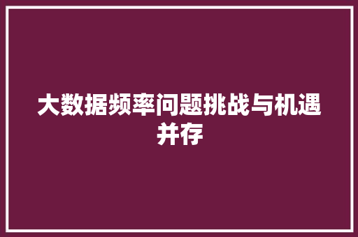 大数据频率问题挑战与机遇并存