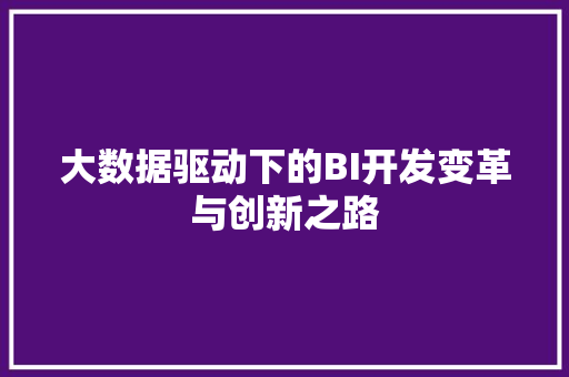 大数据驱动下的BI开发变革与创新之路