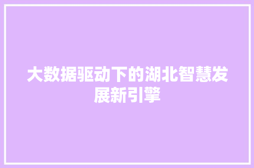大数据驱动下的湖北智慧发展新引擎