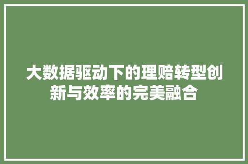大数据驱动下的理赔转型创新与效率的完美融合