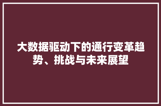 大数据驱动下的通行变革趋势、挑战与未来展望