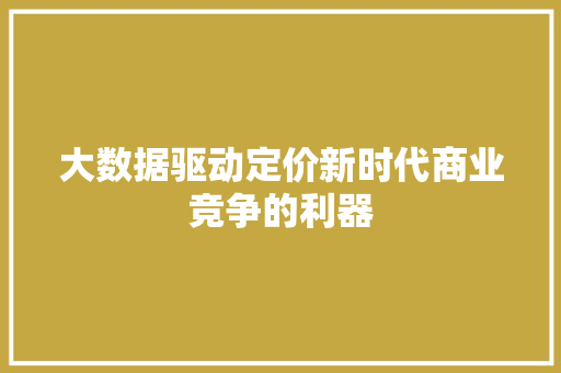 大数据驱动定价新时代商业竞争的利器