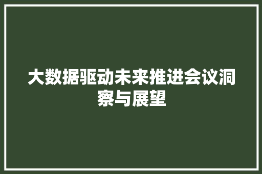 大数据驱动未来推进会议洞察与展望