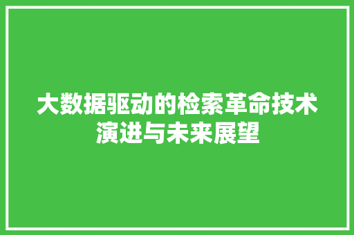 大数据驱动的检索革命技术演进与未来展望