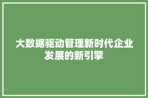 大数据驱动管理新时代企业发展的新引擎
