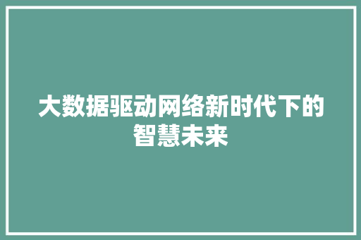 大数据驱动网络新时代下的智慧未来  第1张