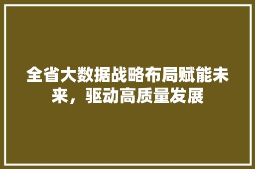 全省大数据战略布局赋能未来，驱动高质量发展  第1张