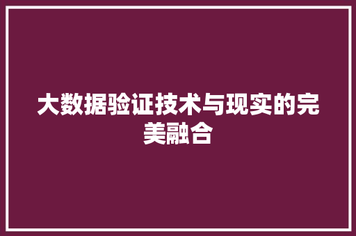 大数据验证技术与现实的完美融合