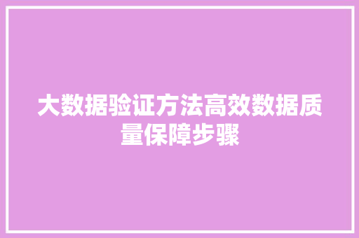 大数据验证方法高效数据质量保障步骤