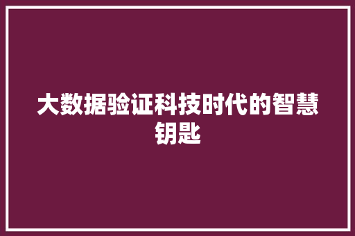 大数据验证科技时代的智慧钥匙
